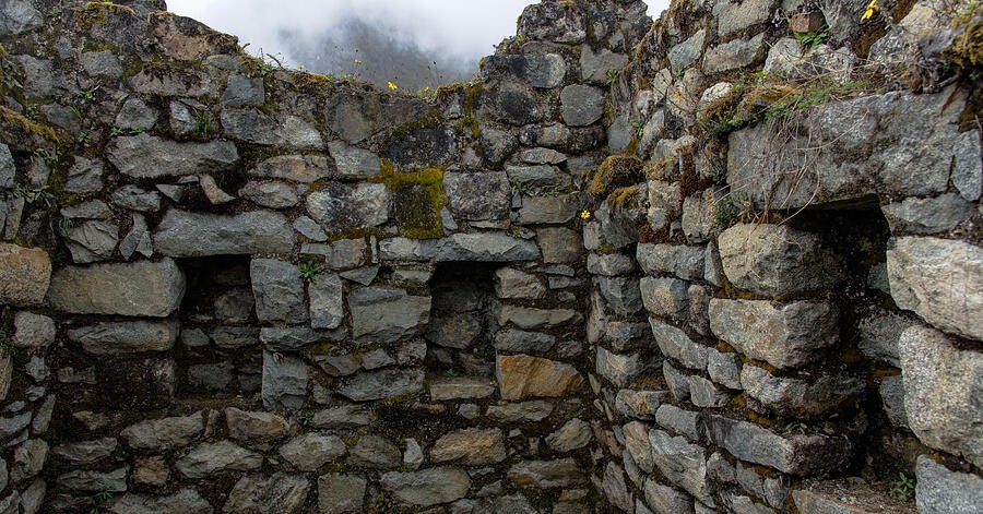 Dark Niches in the Weathered Stonework