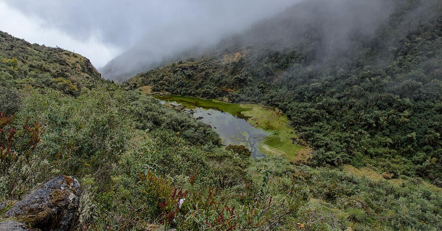 A Small Pond in the Clouded Mountain Hollow