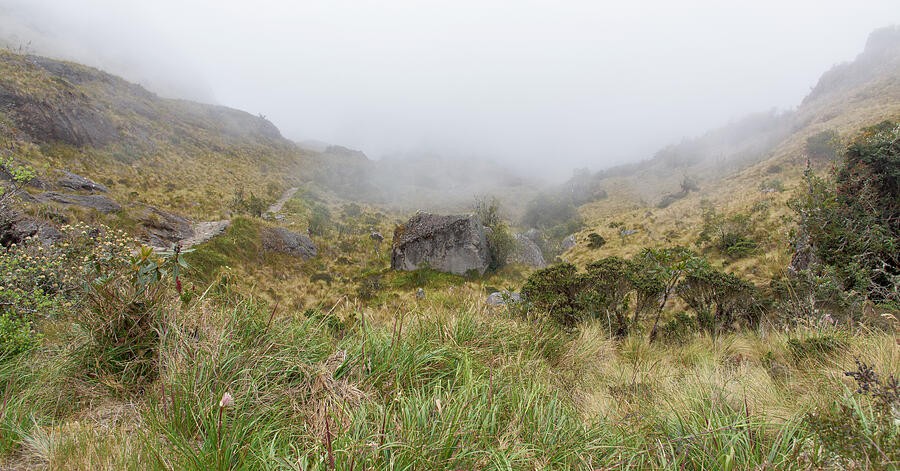 A Gray Boulder in the Misty Grassland