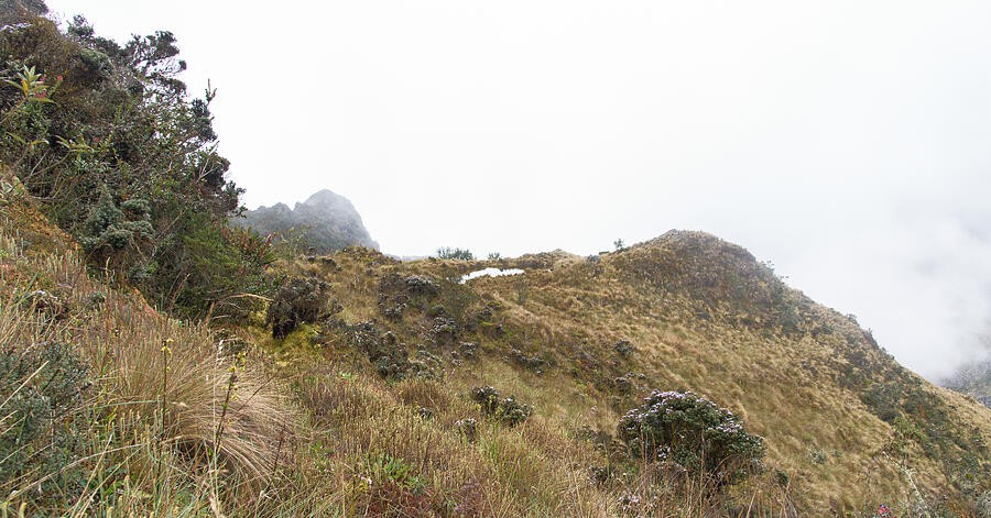 Misty Mountain Landscape