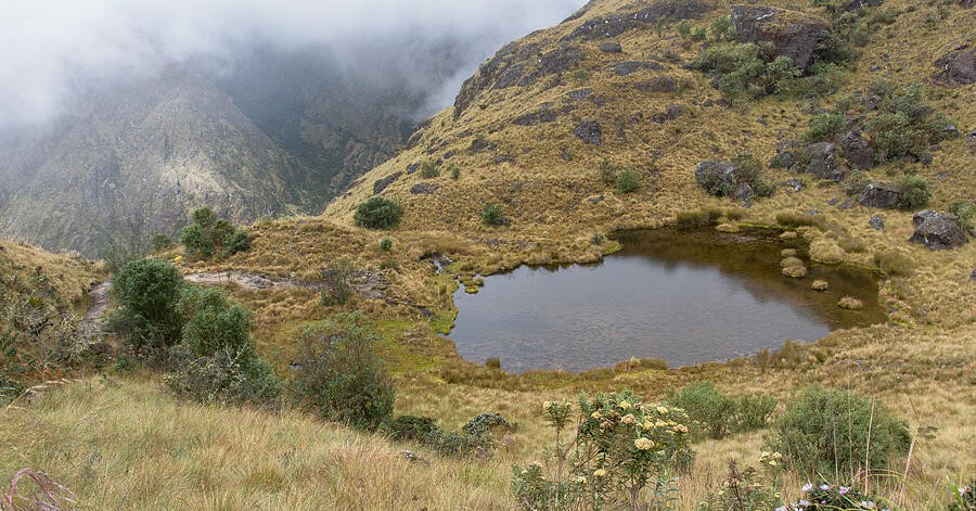 A Quiet Pool Below the Golden Green Ridge
