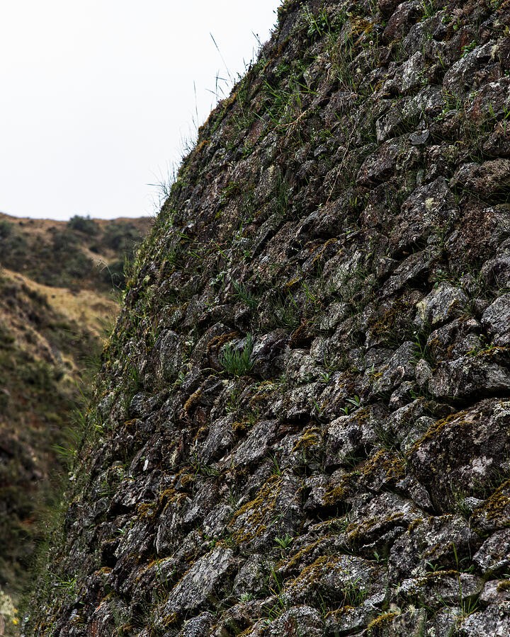 Moss Across the Sloping Stone Wall
