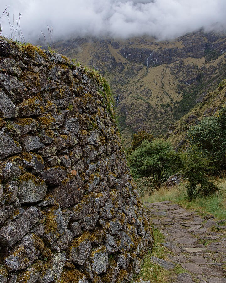 A Mossy Wall Beside the Winding Mountain Path