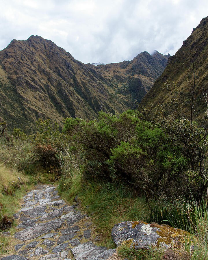 A Stone Trail Toward the Golden Mountain Saddle