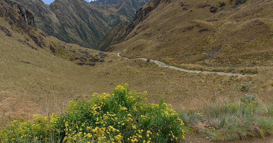 A Winding Path Across the High Grassland