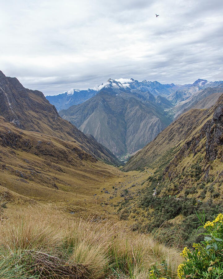 A Long Valley Toward the Snow Streaked Mountains