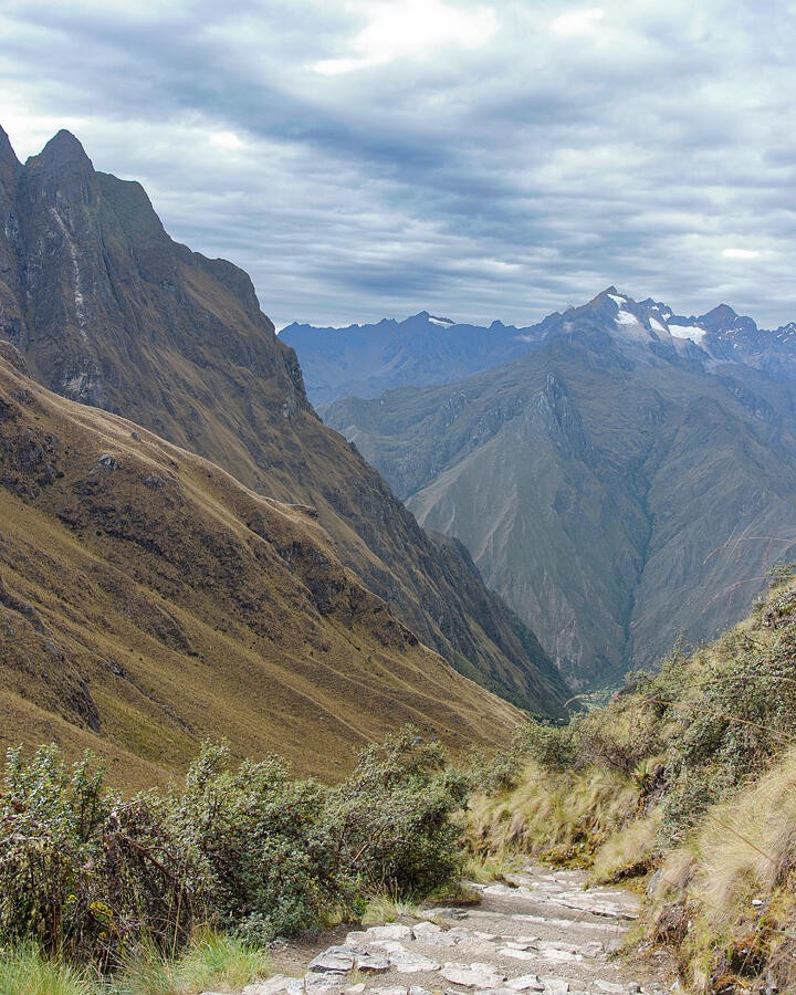A Mountain Path Toward the Distant Snowy Range