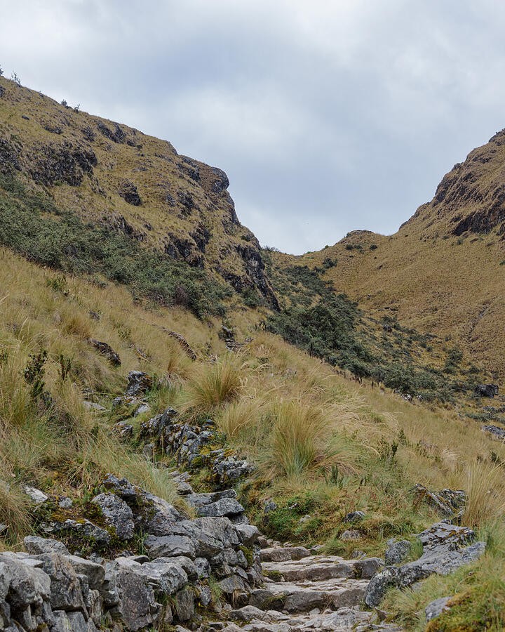 Rocky Steps Through the Mountain Grass
