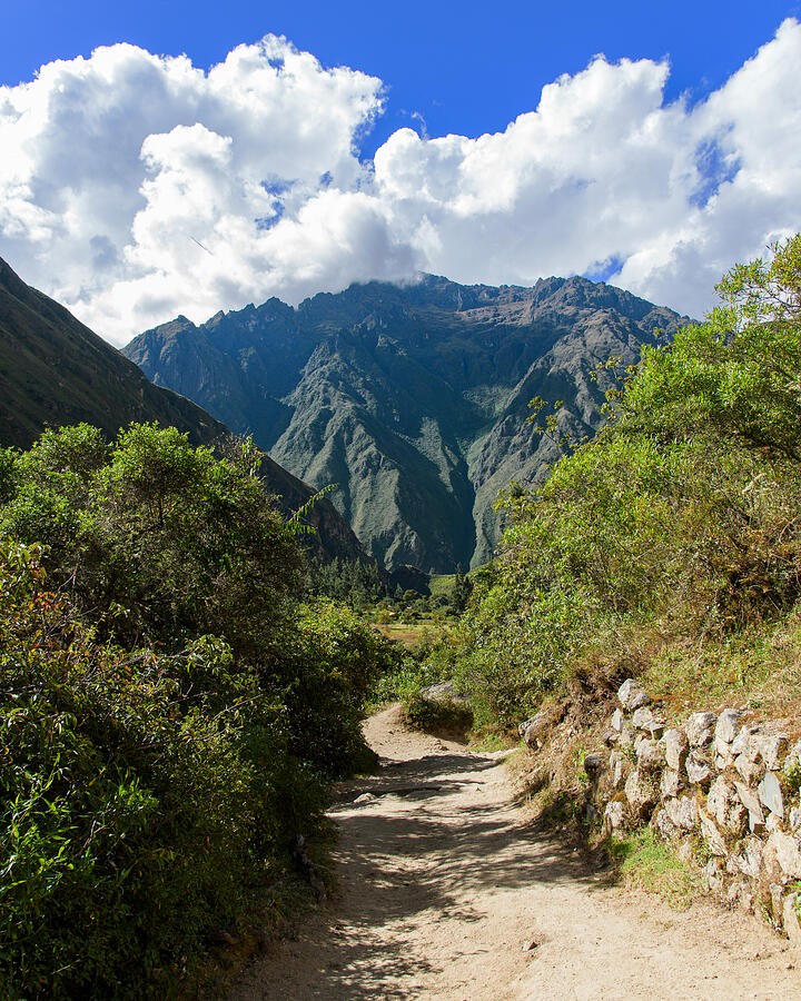 A Sunny Path Toward the Dark Mountain Ridge