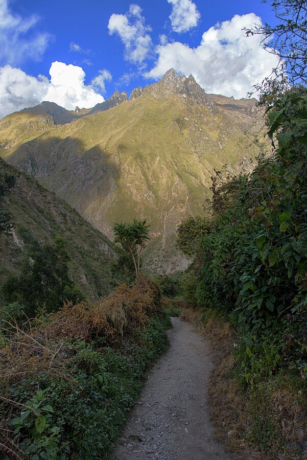 A Curving Trail Below the Bright Mountain Crest