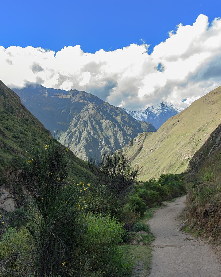 A Quiet Trail Along the Sunlit Valley