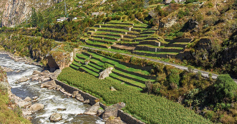 Terrace Steps Above the Narrow Mountain River