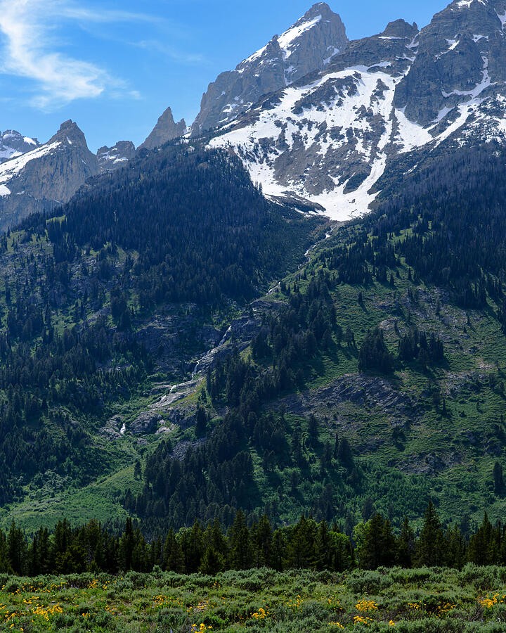 A Snow Streaked Summit Above the Forest
