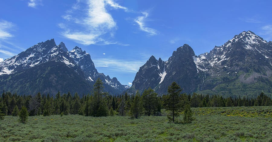 A Broad Meadow Below the Jagged Peaks