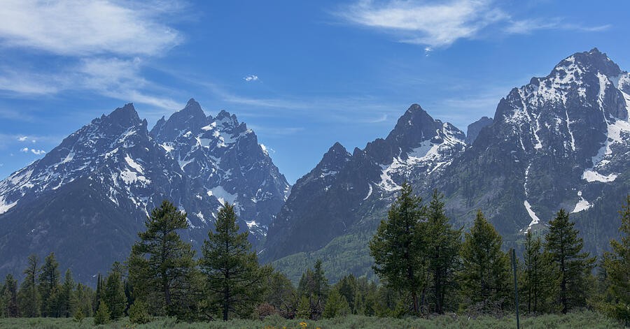 Jagged Summits Above the Scattered Pines