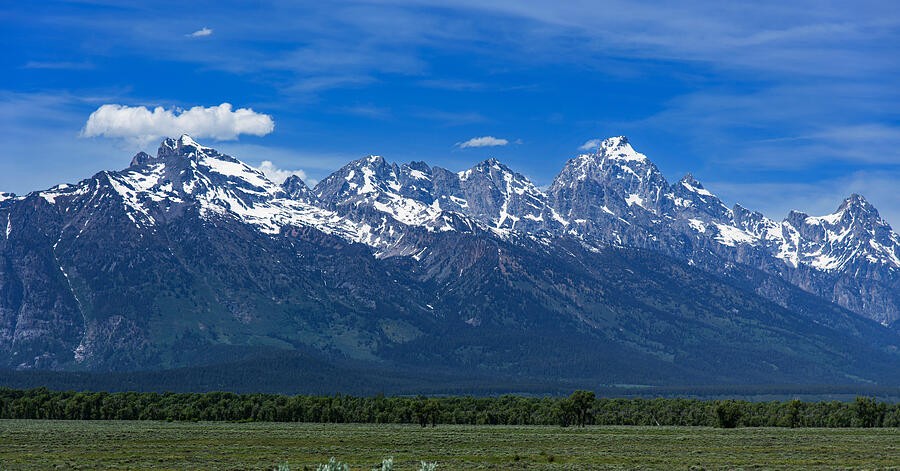 A Long Snowy Range Beyond the Green Meadow