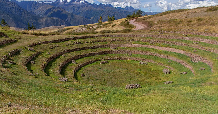 Curving Stone Terraces in the Grassy Bowl