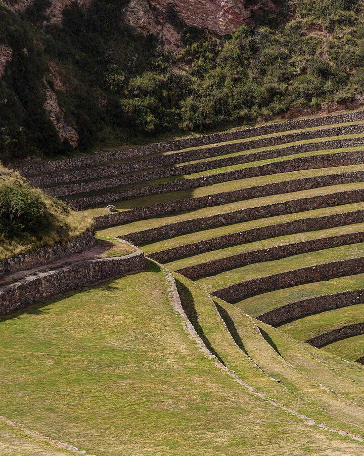Straight Stone Terraces Beneath the Green Slope