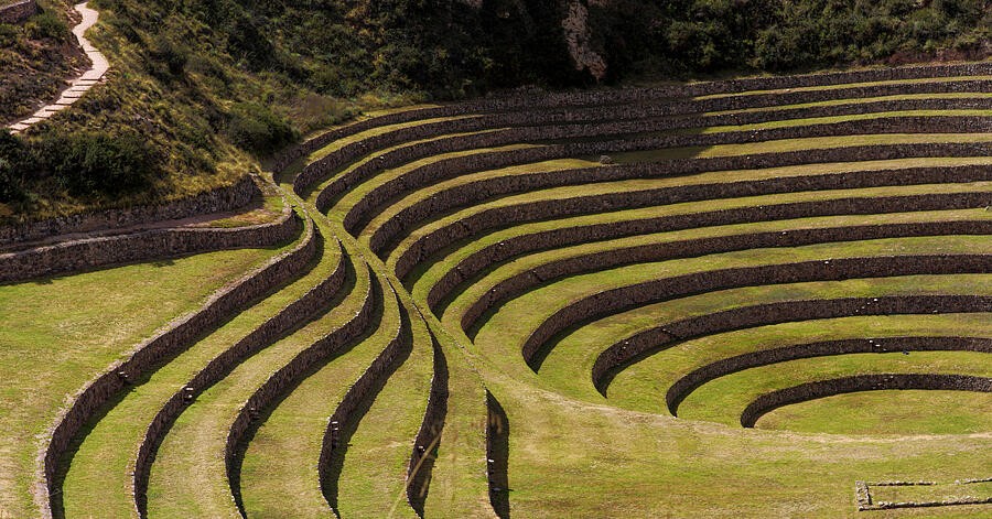 Curving Terraces Below the Path