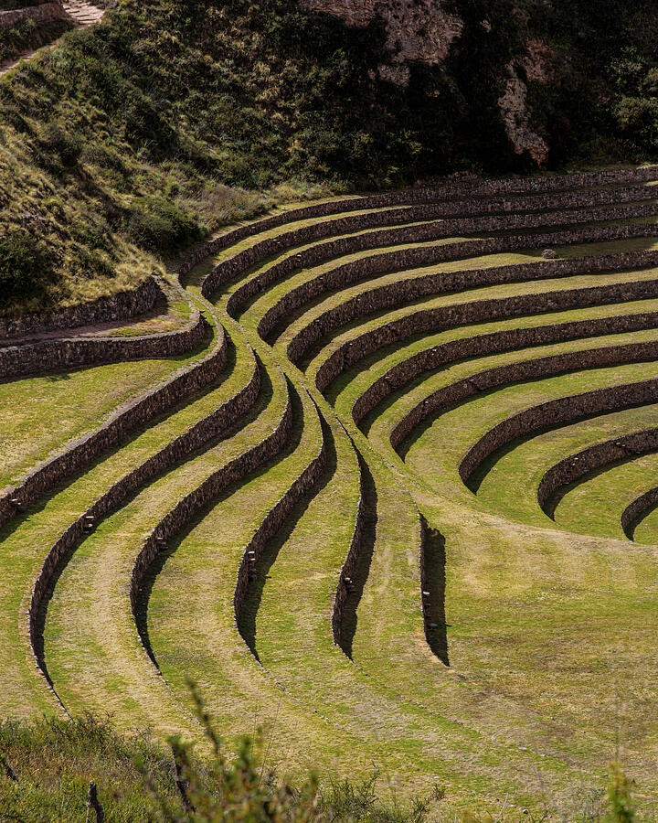 Stone Lines Across the Grassy Slope