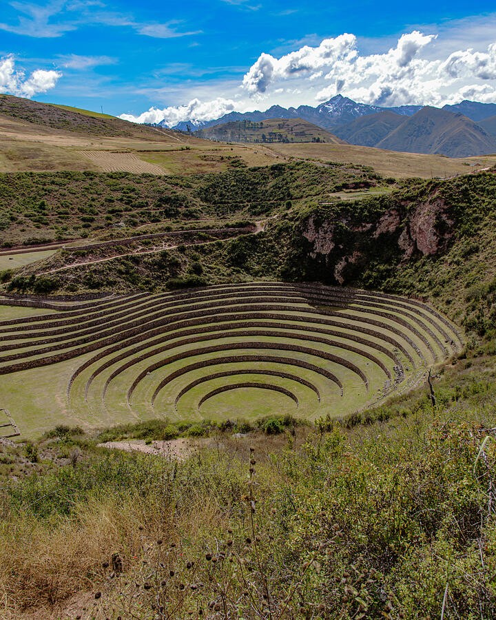 A Circle of Terraces Below Golden Hills