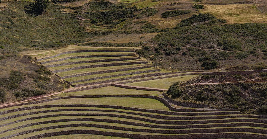 Where Curved Terraces Meet Straight Lines