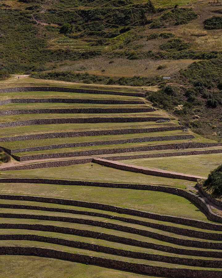 A Diagonal Path Across the Terraces