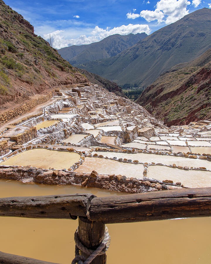 A Rail Above the Salt Ponds