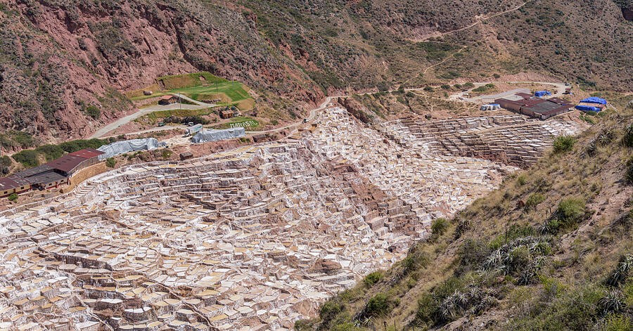 A Salt Pond Mosaic in the Valley