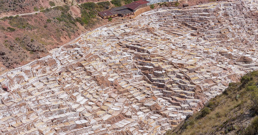 Diagonal Patterns Across the Salt Ponds