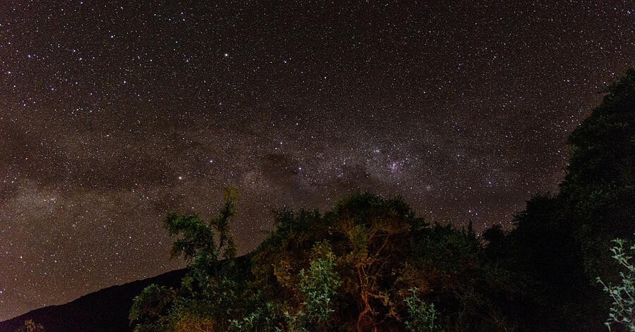 A River of Stars Above the Trees