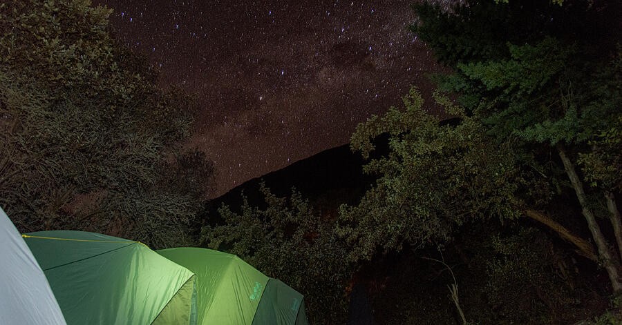 Green Tents Beneath a Star-Filled Sky