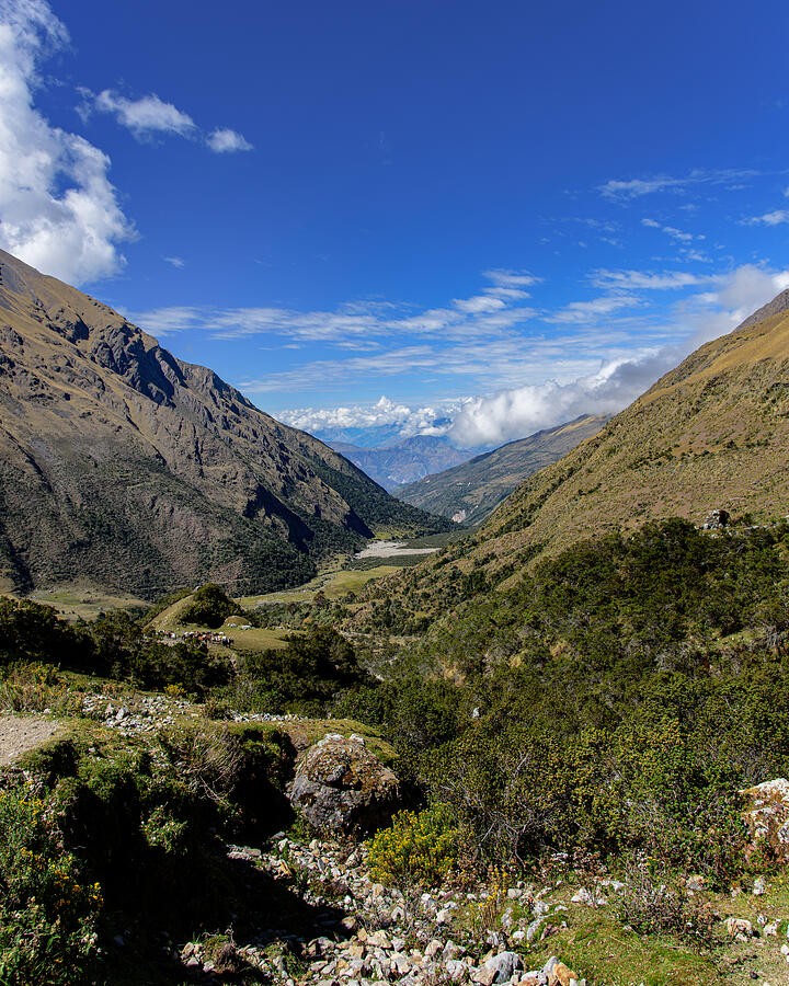 An Open Valley Below the Snowy Mountain