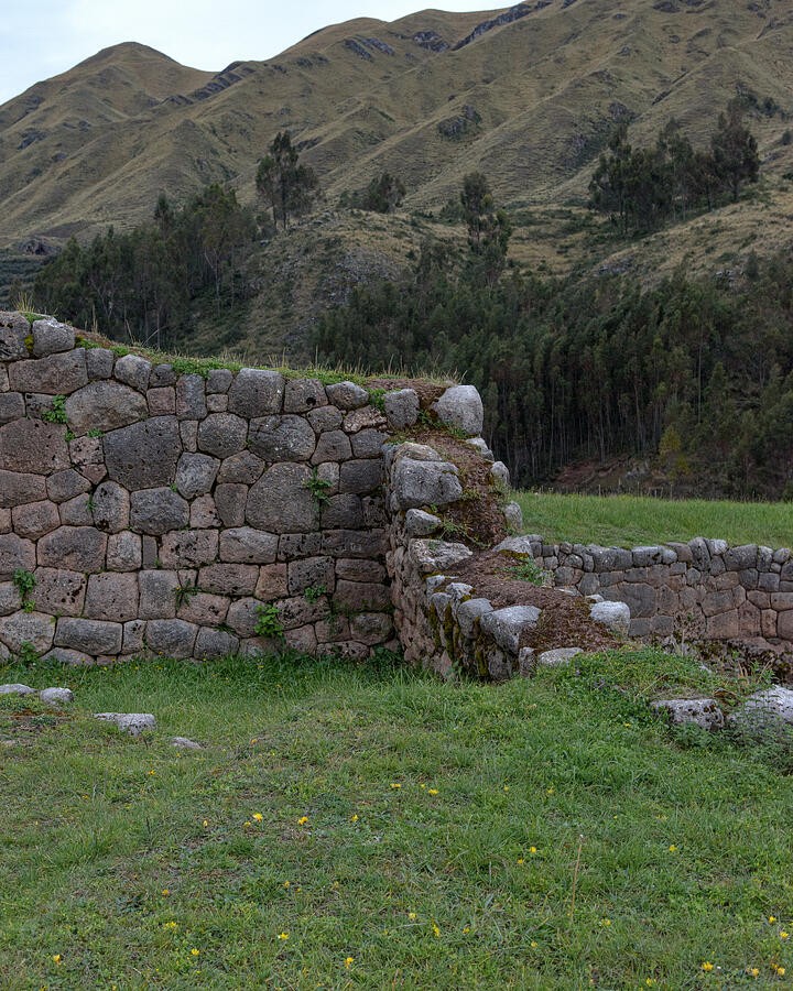 A Rounded Stone Wall in the Green Lawn