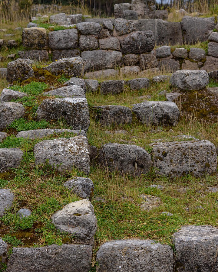 Grass Between the Old Stone Courses