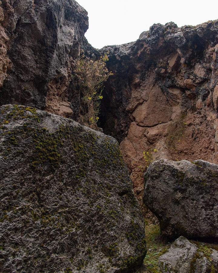 A Narrow Cleft in Weathered Rock