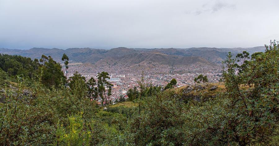 A City Framed by Trees and Shrubs
