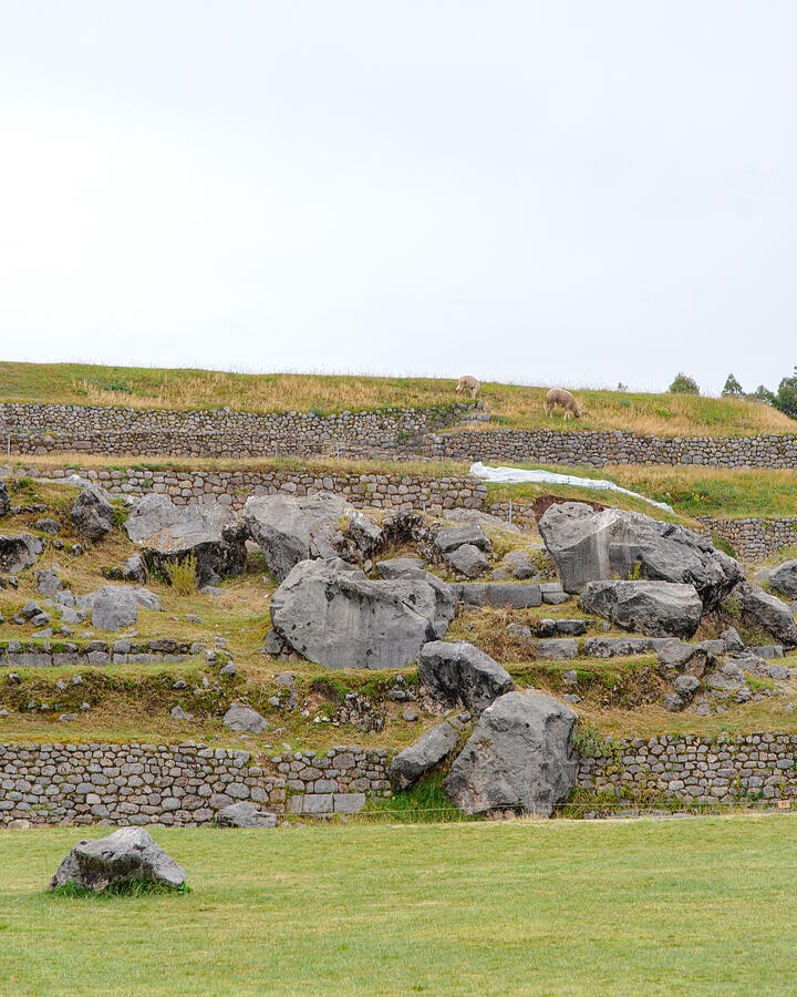 Rock Outcrops Among the Low Terraces