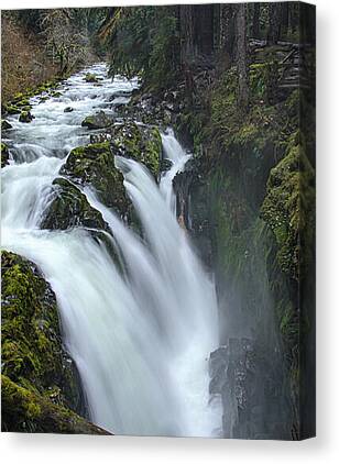 Serene Canvas Prints