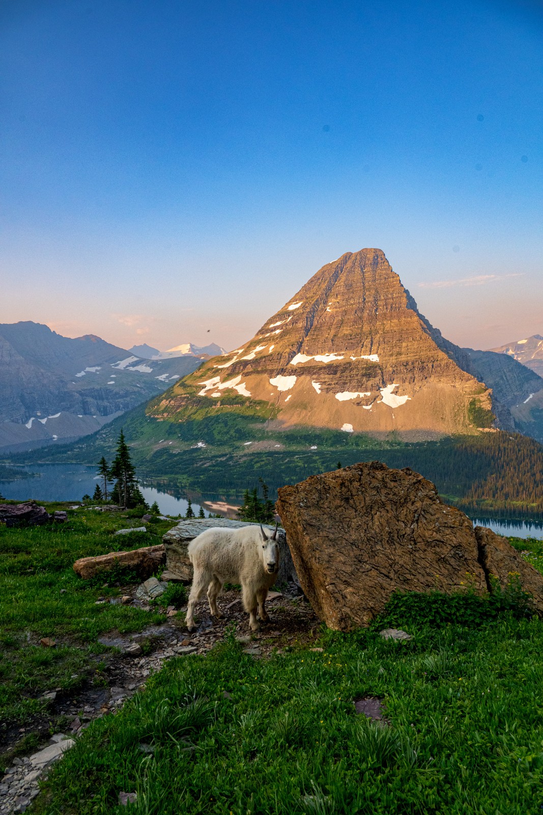 Glacier: sunrise at Hidden Lake and time to look around