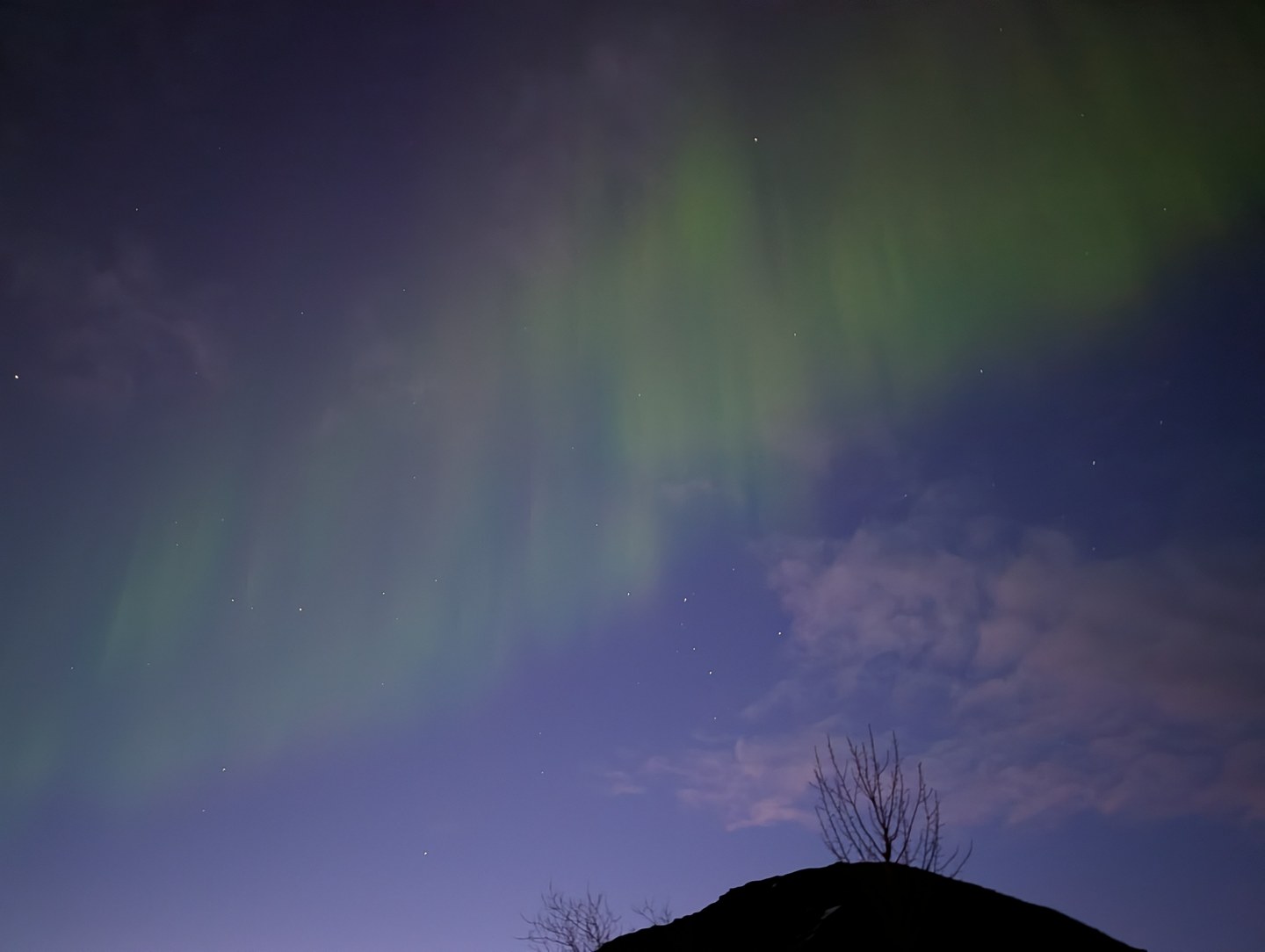 Green and purple aurora sweeping across a night sky above bare branches