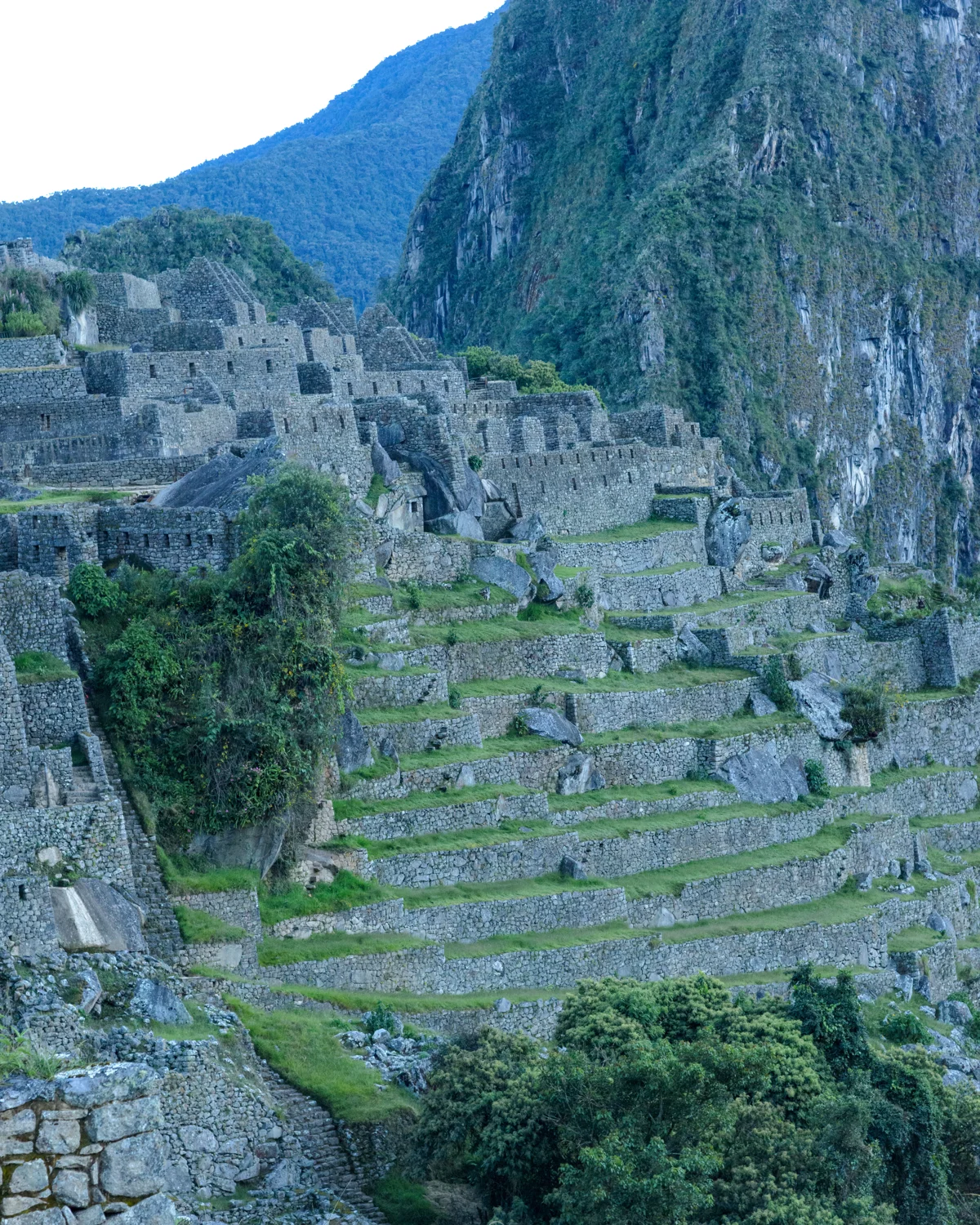 Machu Picchu photographic study 17