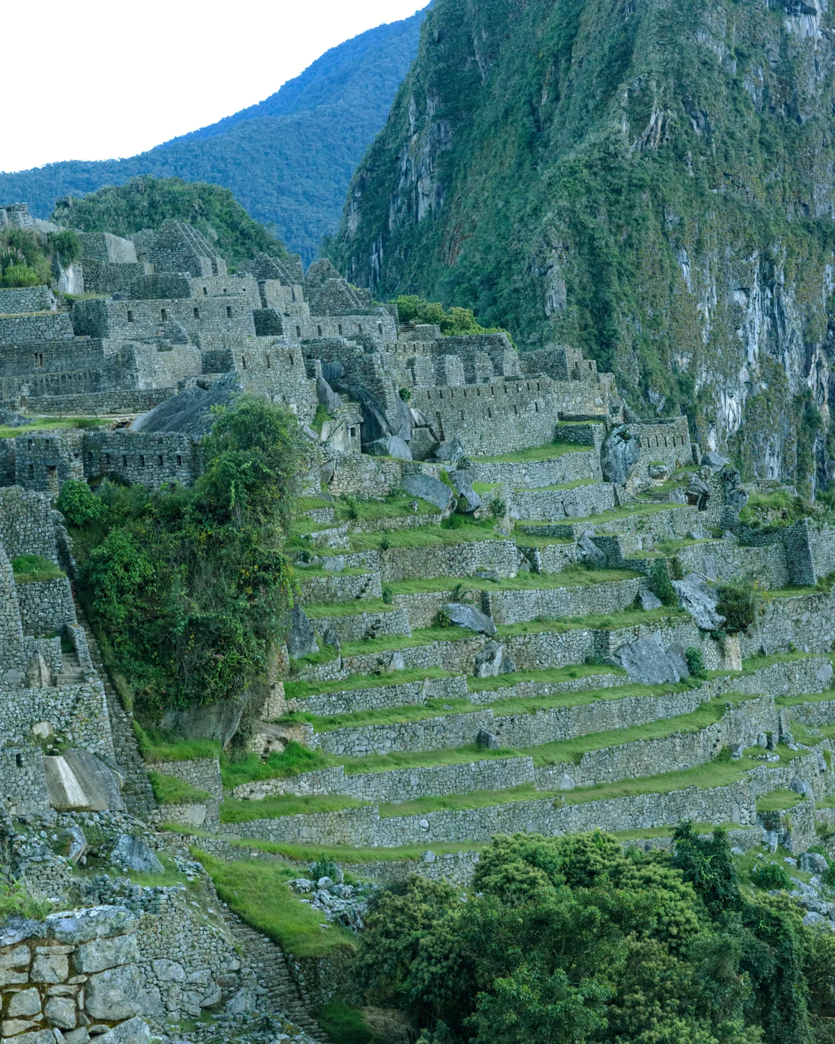 Machu Picchu photographic study 18