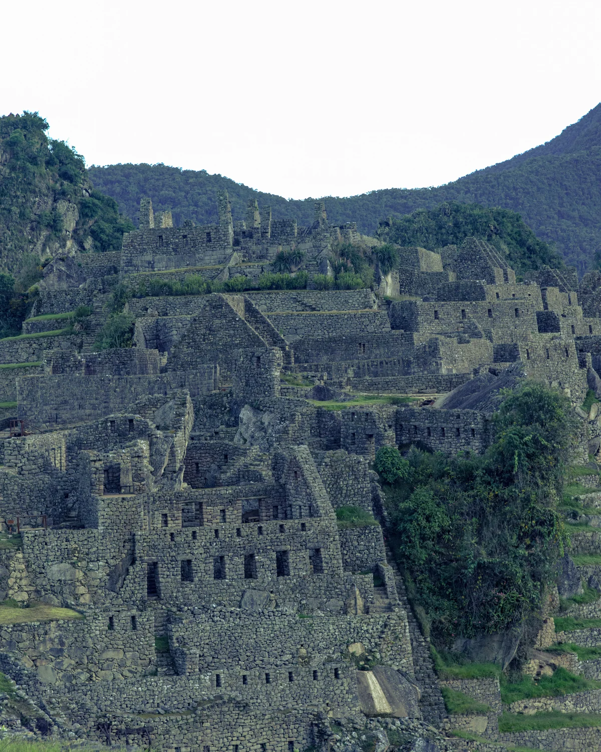 Machu Picchu photographic study 19