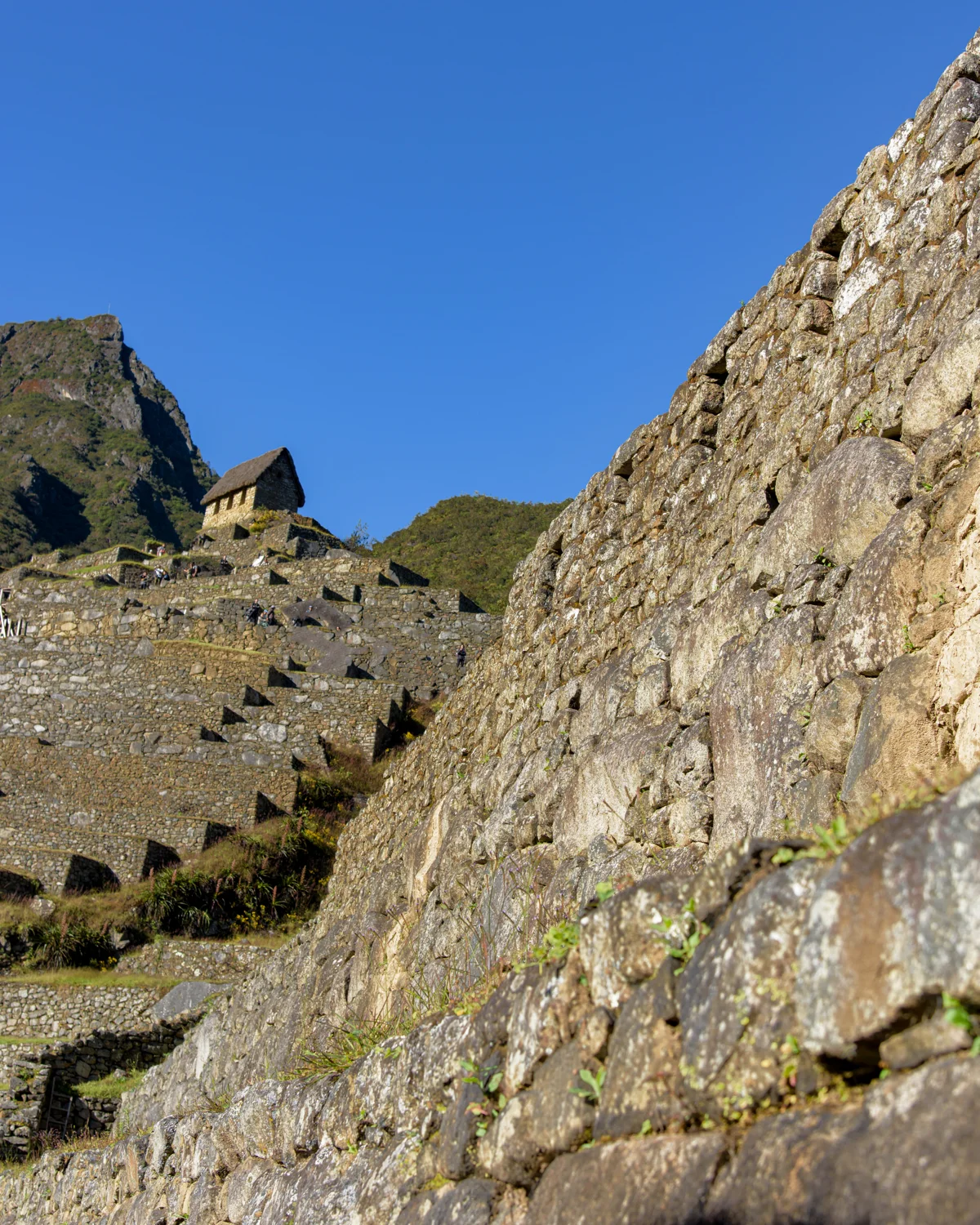 Machu Picchu photographic study 36