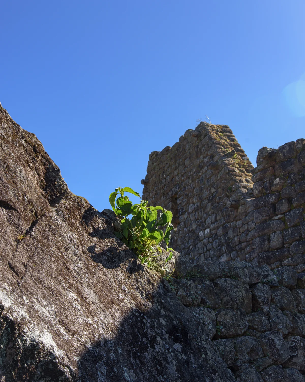 Machu Picchu photographic study 40