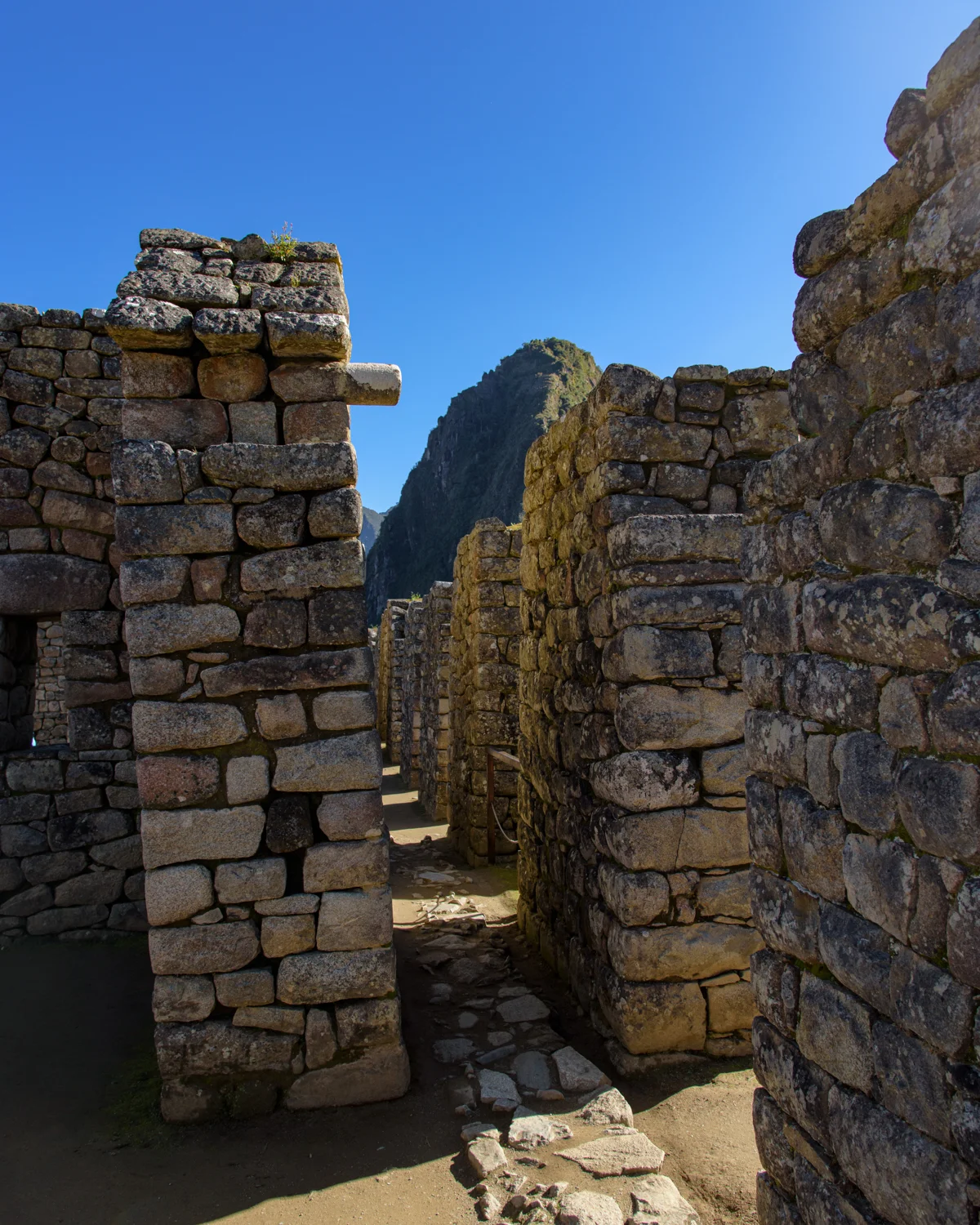 Machu Picchu photographic study 41