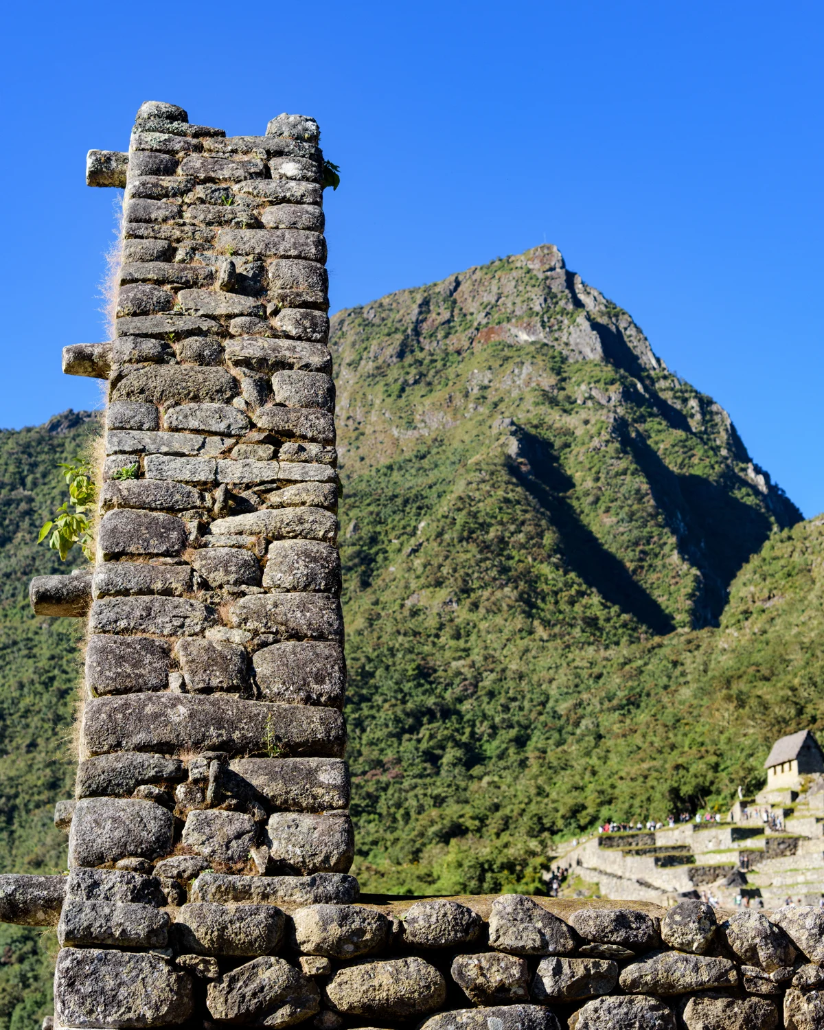 Machu Picchu photographic study 42