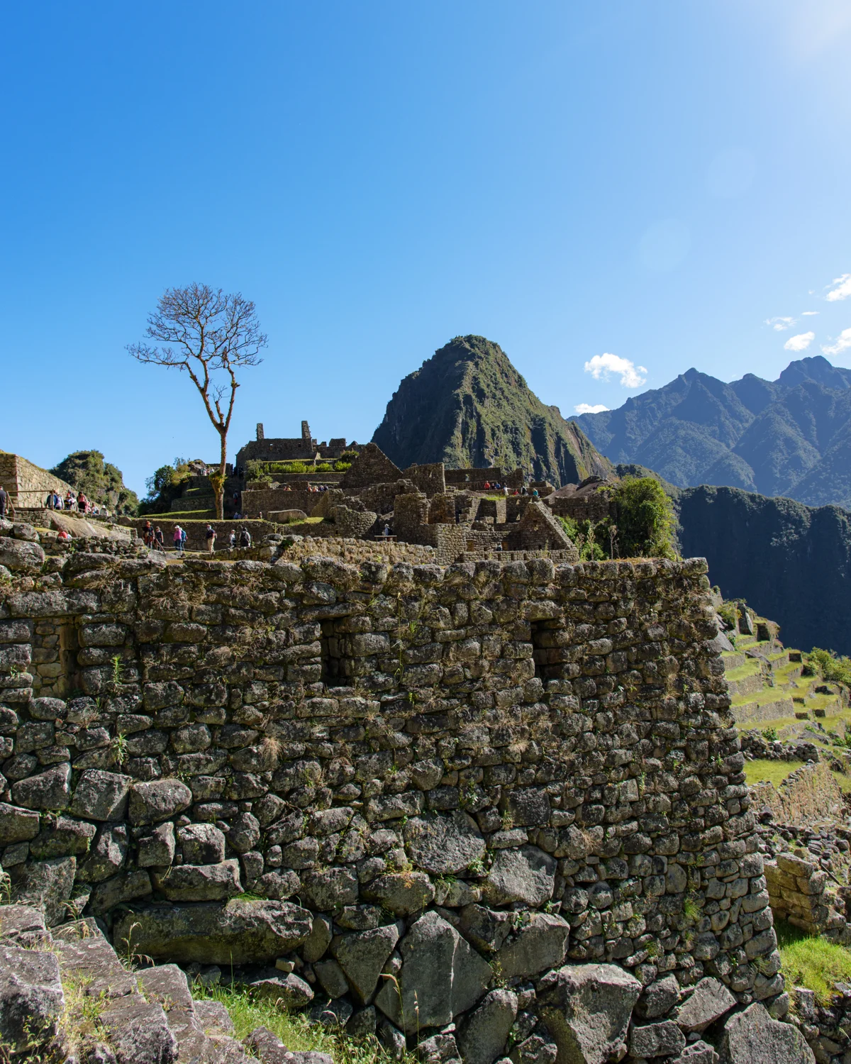 Machu Picchu photographic study 49