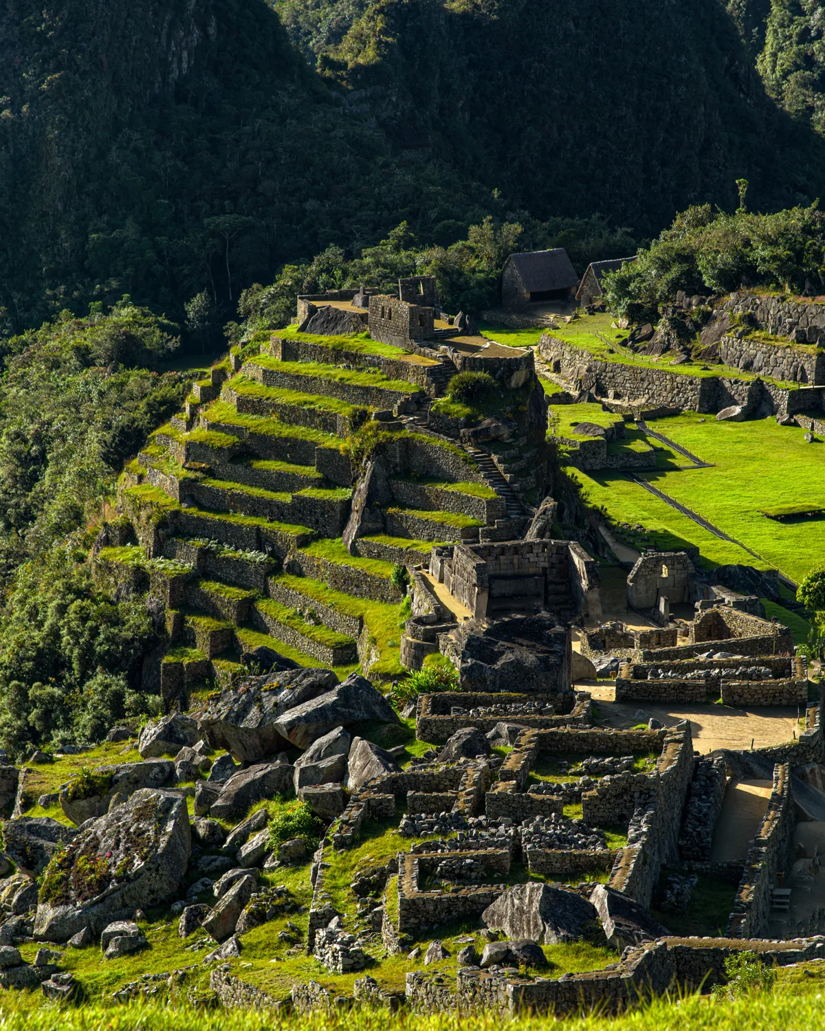 Machu Picchu photographic study 7